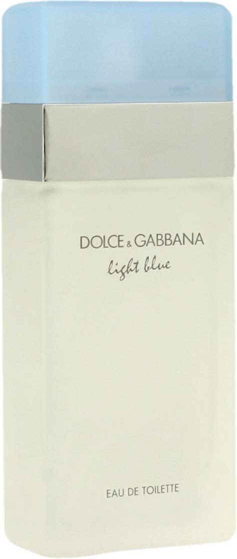 light blue dolce gabbana rossmann